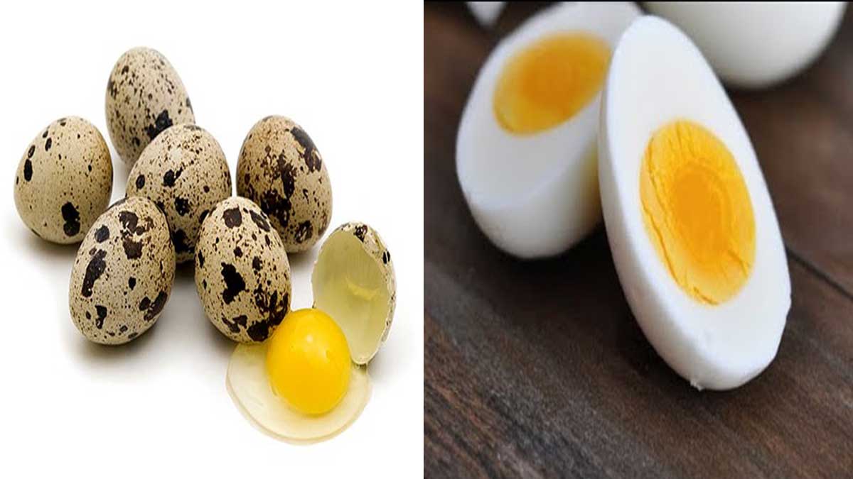 Are you eating quail eggs? Then look at these things