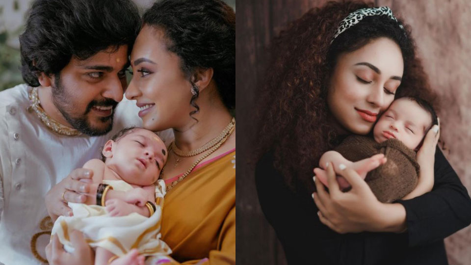 pearle maaney income